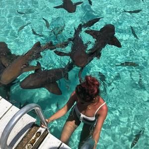 Meet your Posher, Cindy